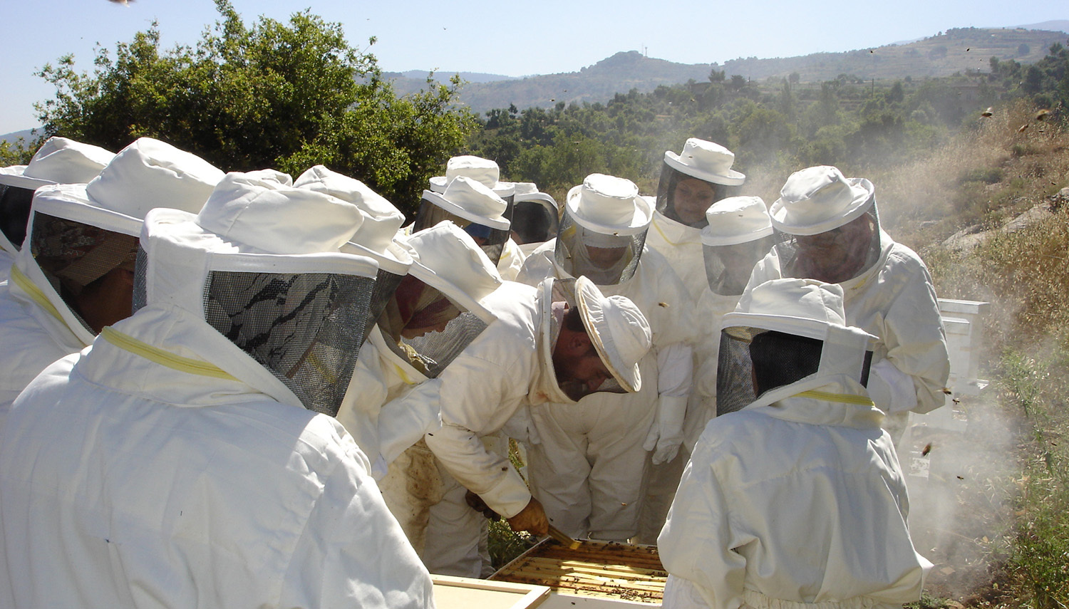Honey production