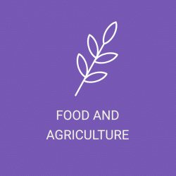 food-and-agri-1